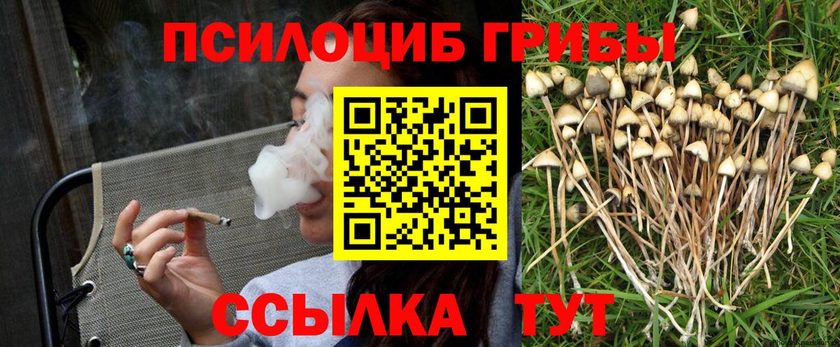 Арсеньев  где купить наркоту  Вход с VPN  Галлюциногенные грибы Psilocybine cubensis 